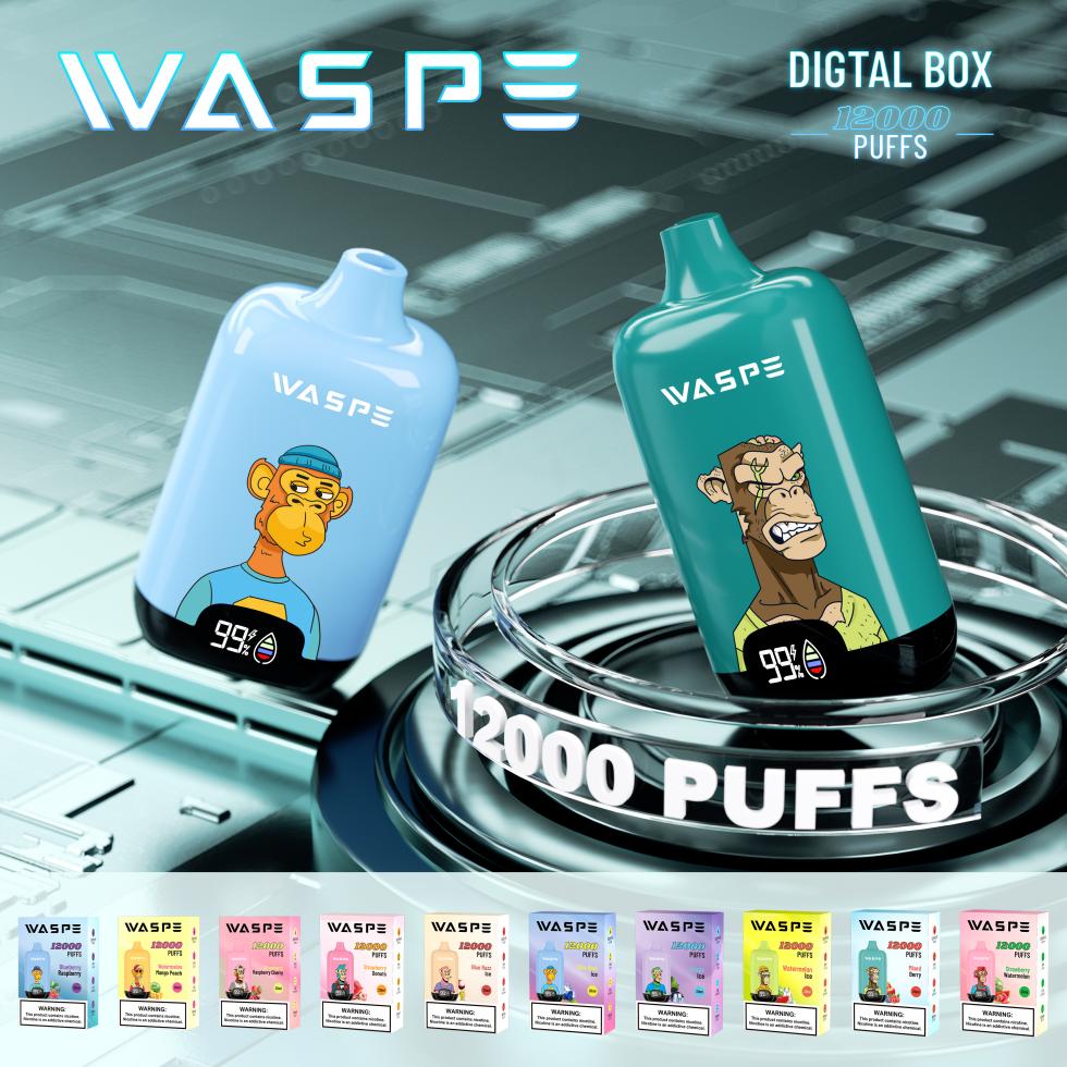 Waspe Digital Box 12000 s digitálním displejem