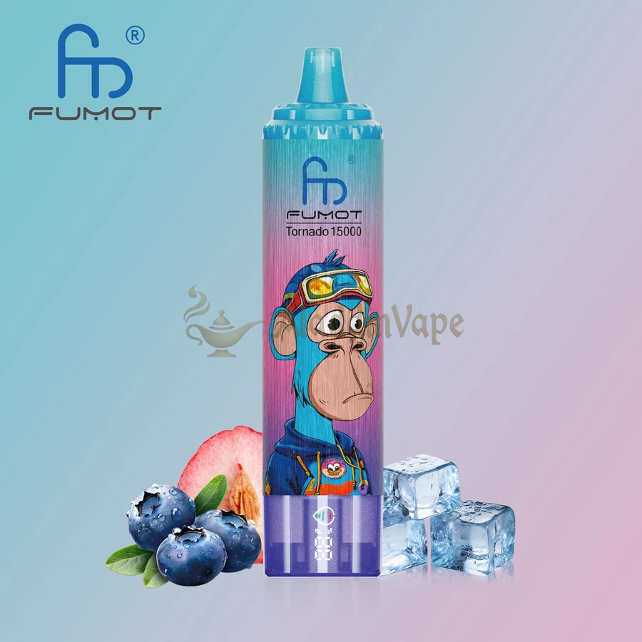 Fumot Randm Tornado 15000 Puffs Vape Blueberry Peach Ice Flavors