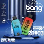 Bang 20000 20k Puffs 使い捨てベープ スマートスクリーン メッシュコイル メイン ブルーベリーアイス ストロベリースイカ