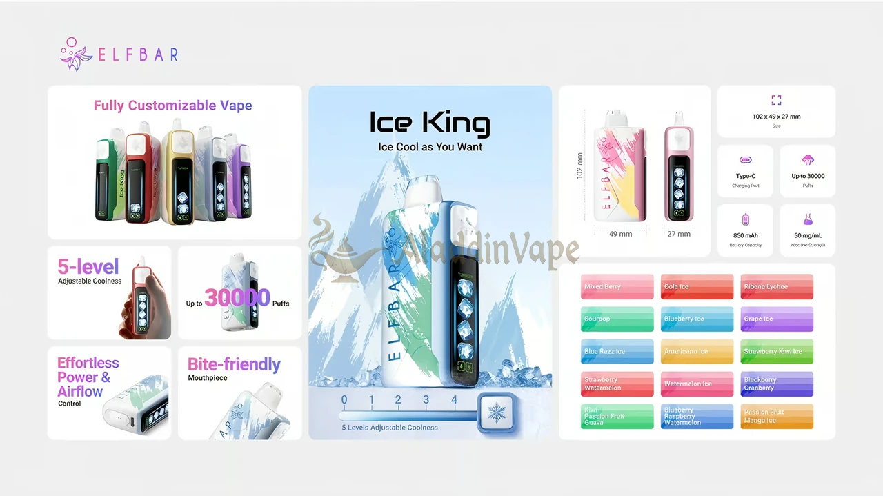 Elfbar King 30000 Puff 使い捨てVAPE 詳細