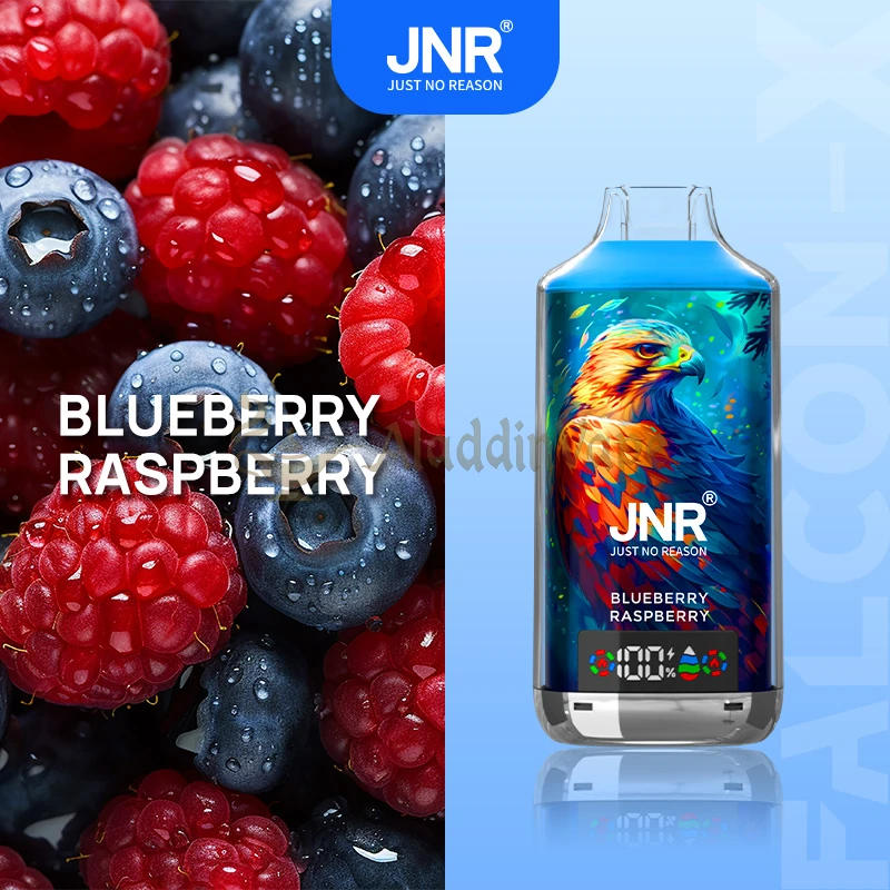 Jnr Falcon X 18000 Puffs Disposable Vape 2 Blueberry Raspberry