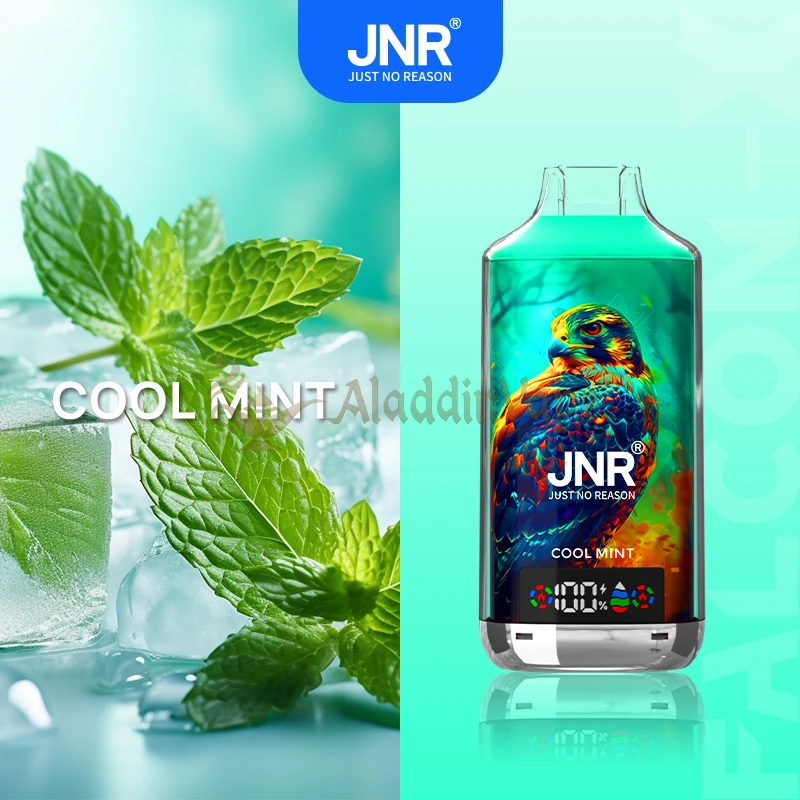 Jnr Falcon X 18000 Puffs Disposable Vape 3 Cool Mint