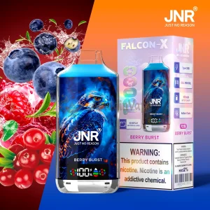Jnr Falcon X 18000 Puffs Einweg-Vape Fx15 Berry Burst